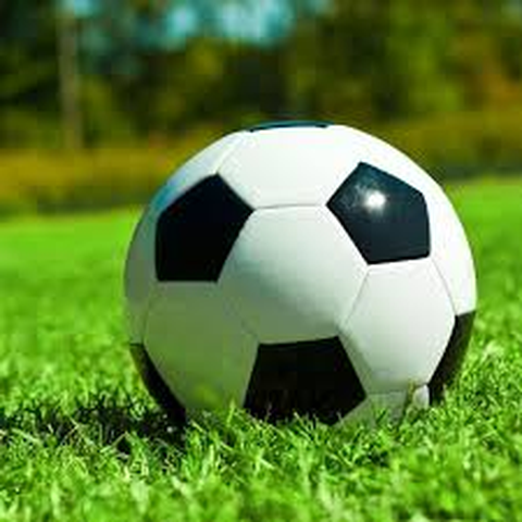 邴树响